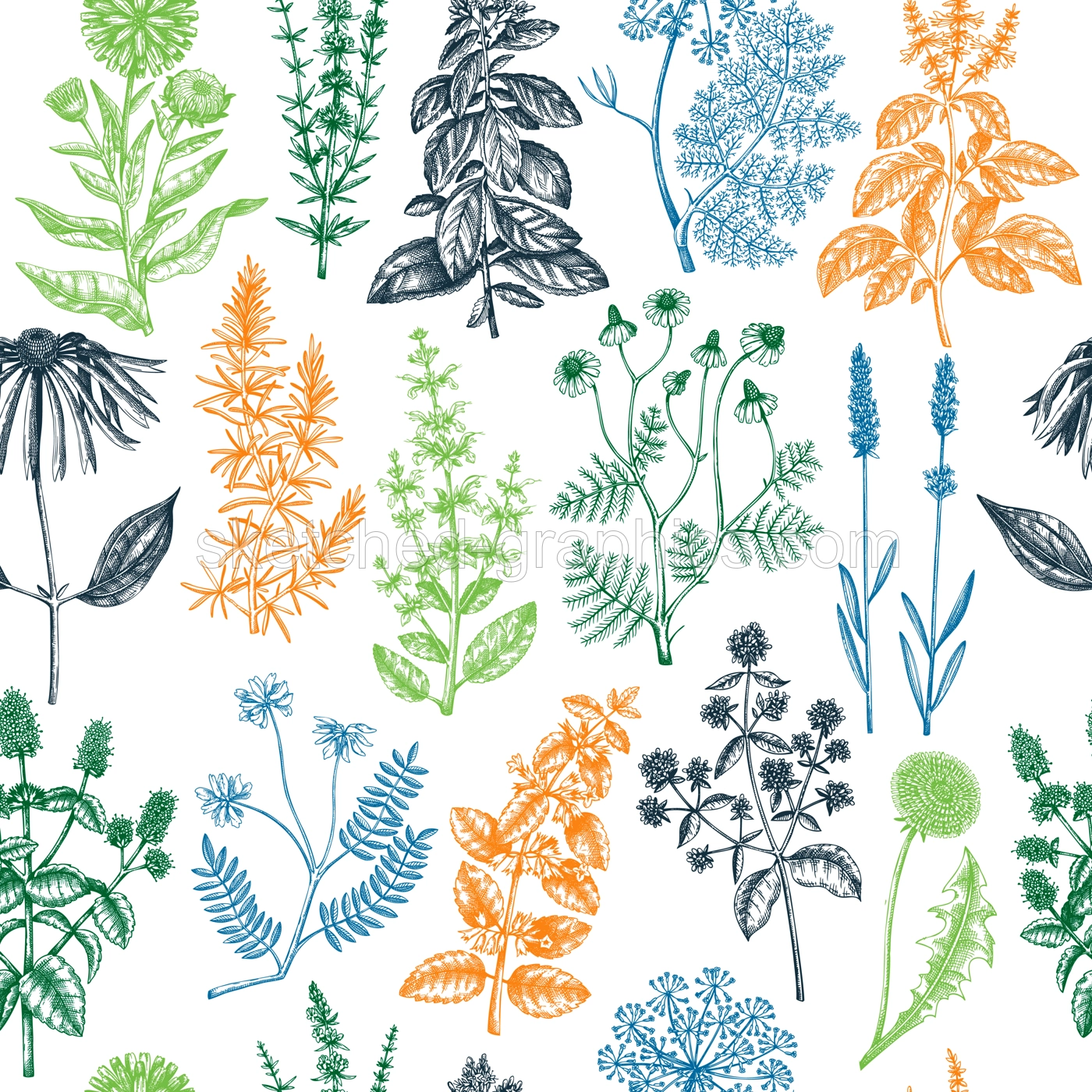 Seamless botanical pattern with wild flowers. Floral background with medicinal herbs. Engraved style hand drawn herbal plants backdrop. Floral vector illustration.  Endless texture design. Illustration
